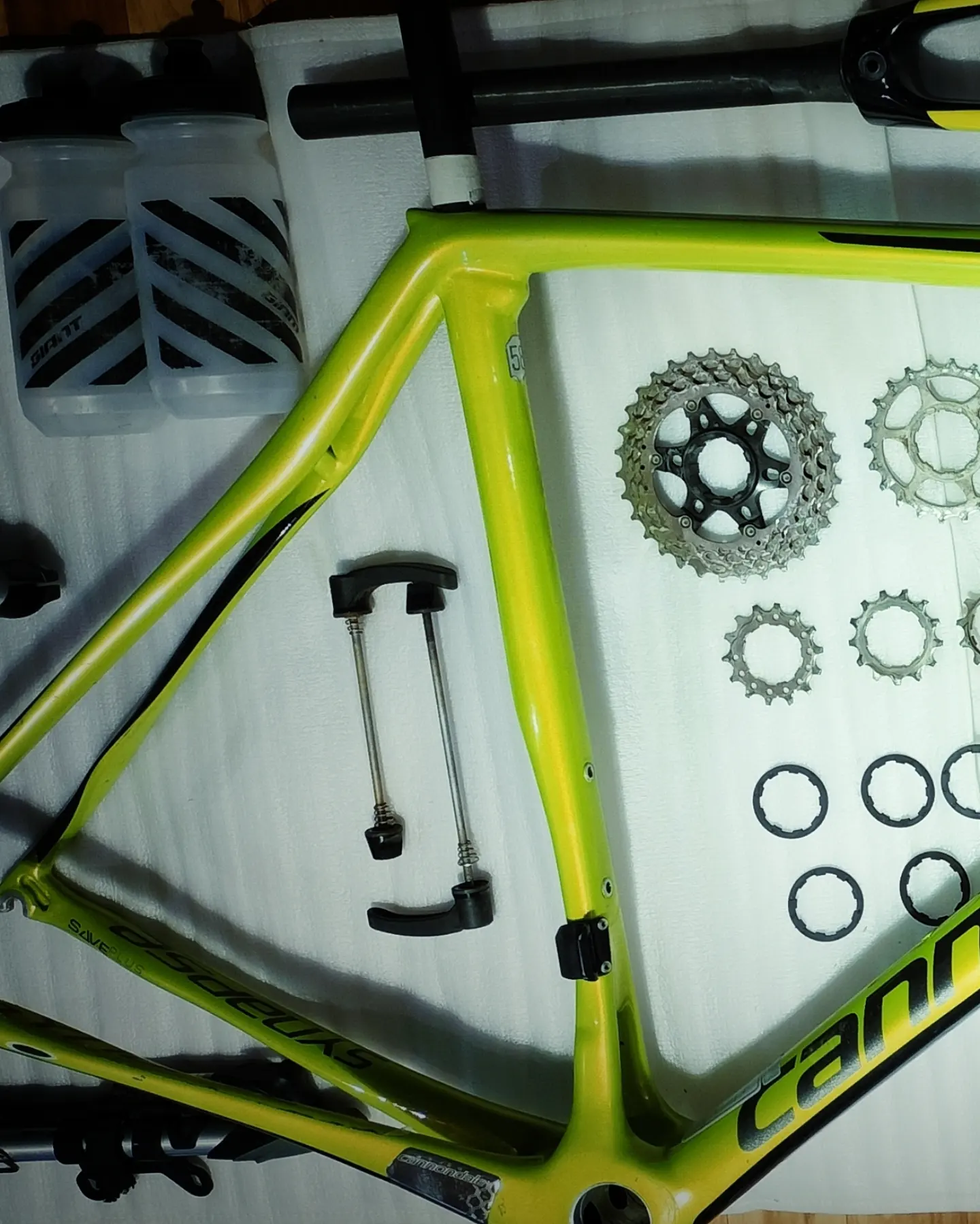 Cannondale Synapse